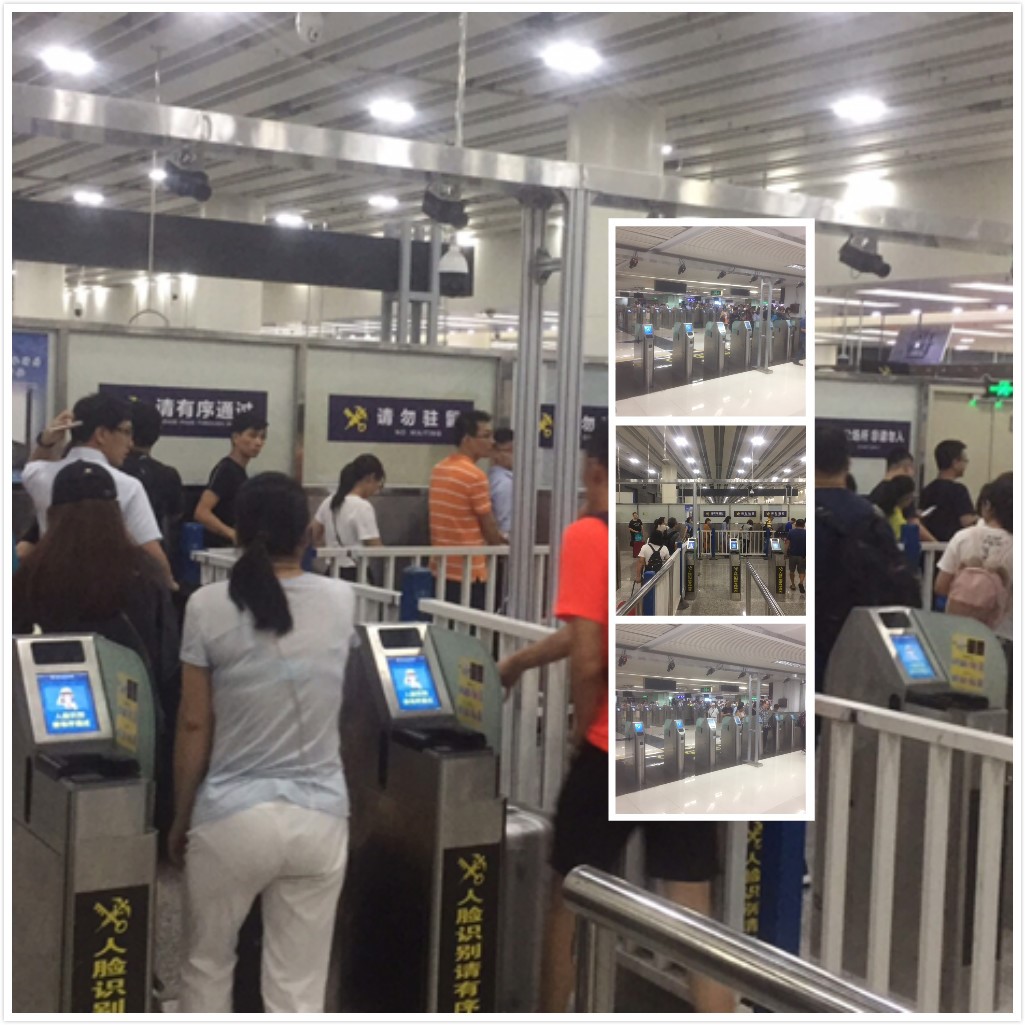 百舸争流，奋楫者先 ——九州(中国)jiuzhou·官方网页版,出席第九届中国自贸区及特殊区域产业升级论坛